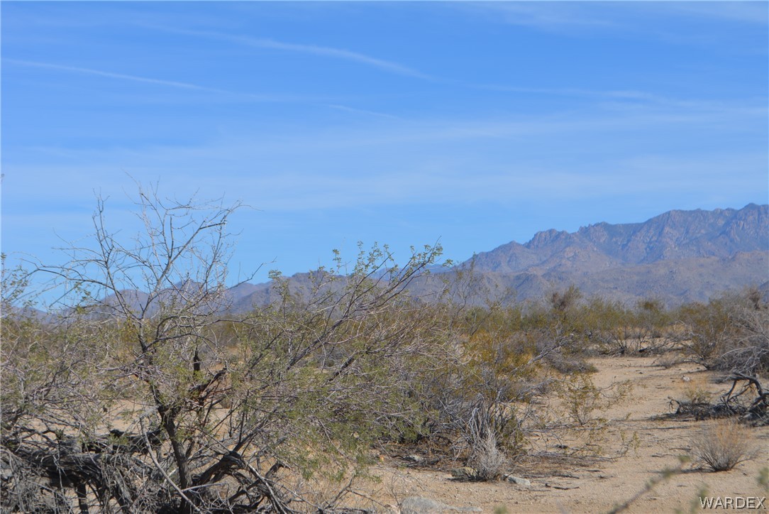 Lot M16 Roll Road Yucca, AZ 86438 - Photo 2 of 18