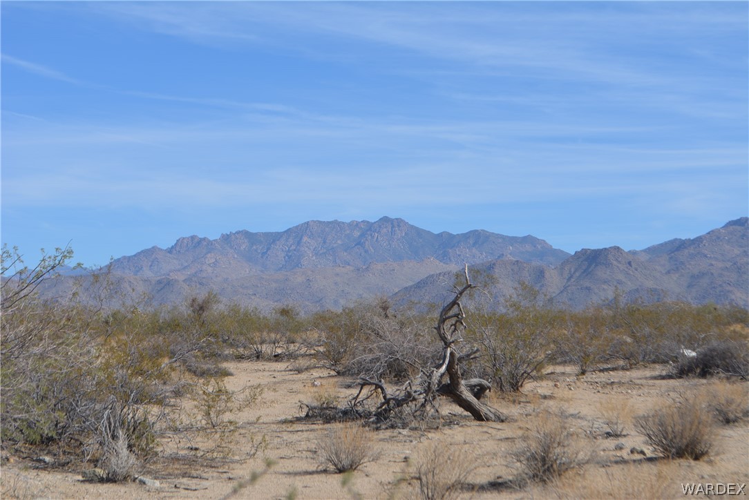 Lot M16 Roll Road Yucca, AZ 86438 - Photo 3 of 18
