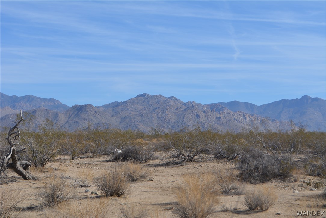 Lot M16 Roll Road Yucca, AZ 86438 - Photo 4 of 18