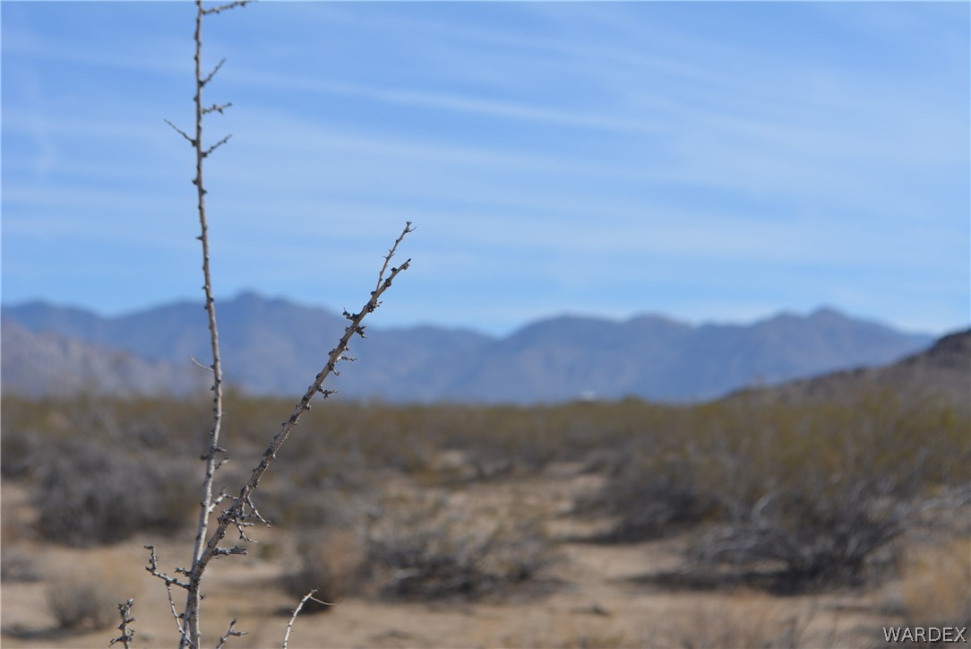Lot M16 Roll Road Yucca, AZ 86438 - Photo 5 of 18