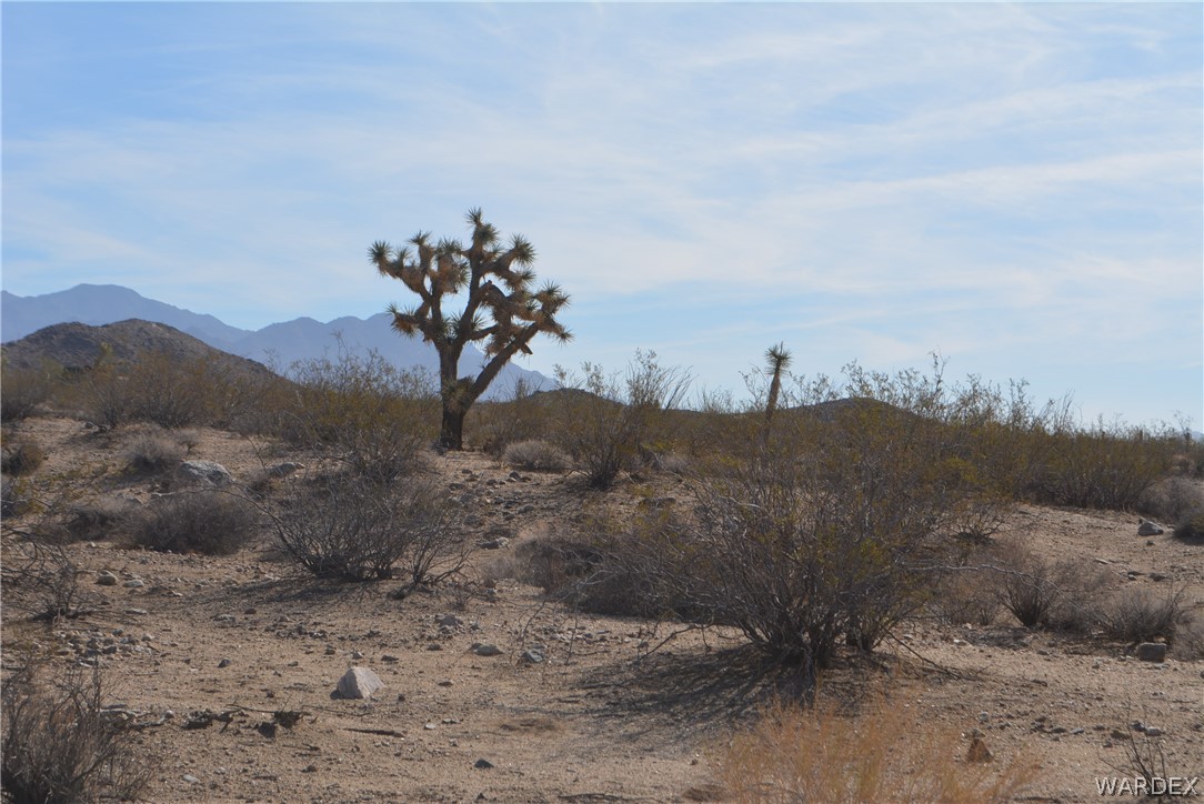Lot M16 Roll Road Yucca, AZ 86438 - Photo 7 of 18