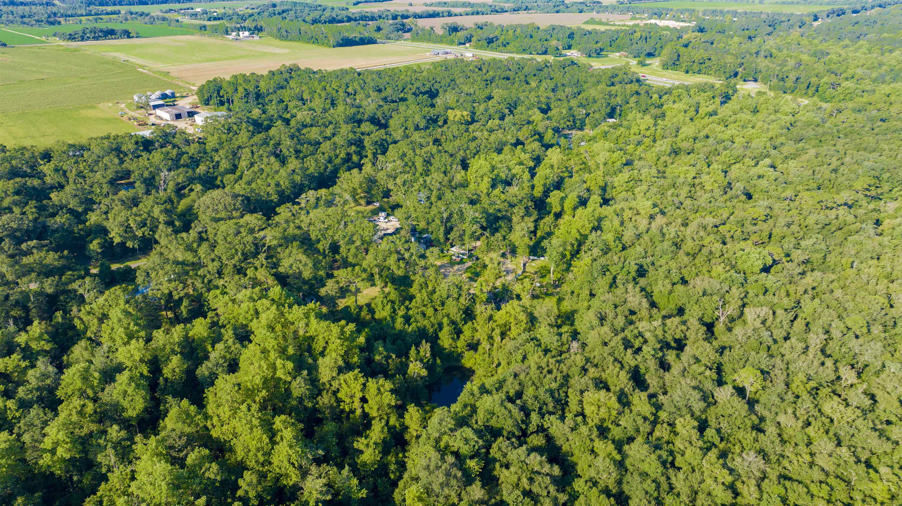 21333 Oak Ridge Drive Robertsdale, AL 36567 - Photo 32 of 38