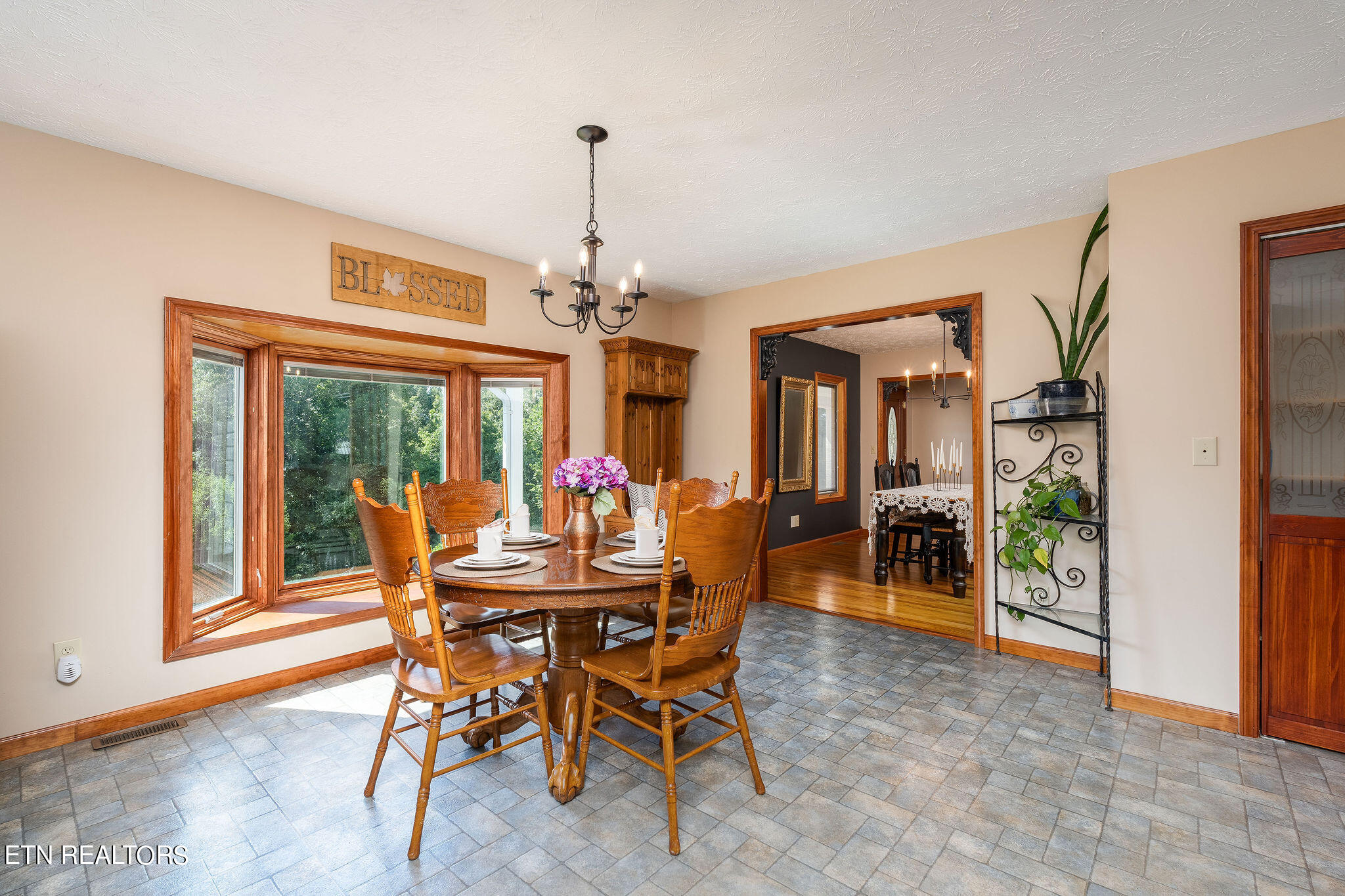 240 Moulton Greene Road Fall Branch, TN 37656 - Photo 12 of 54 DSC03127-Edit