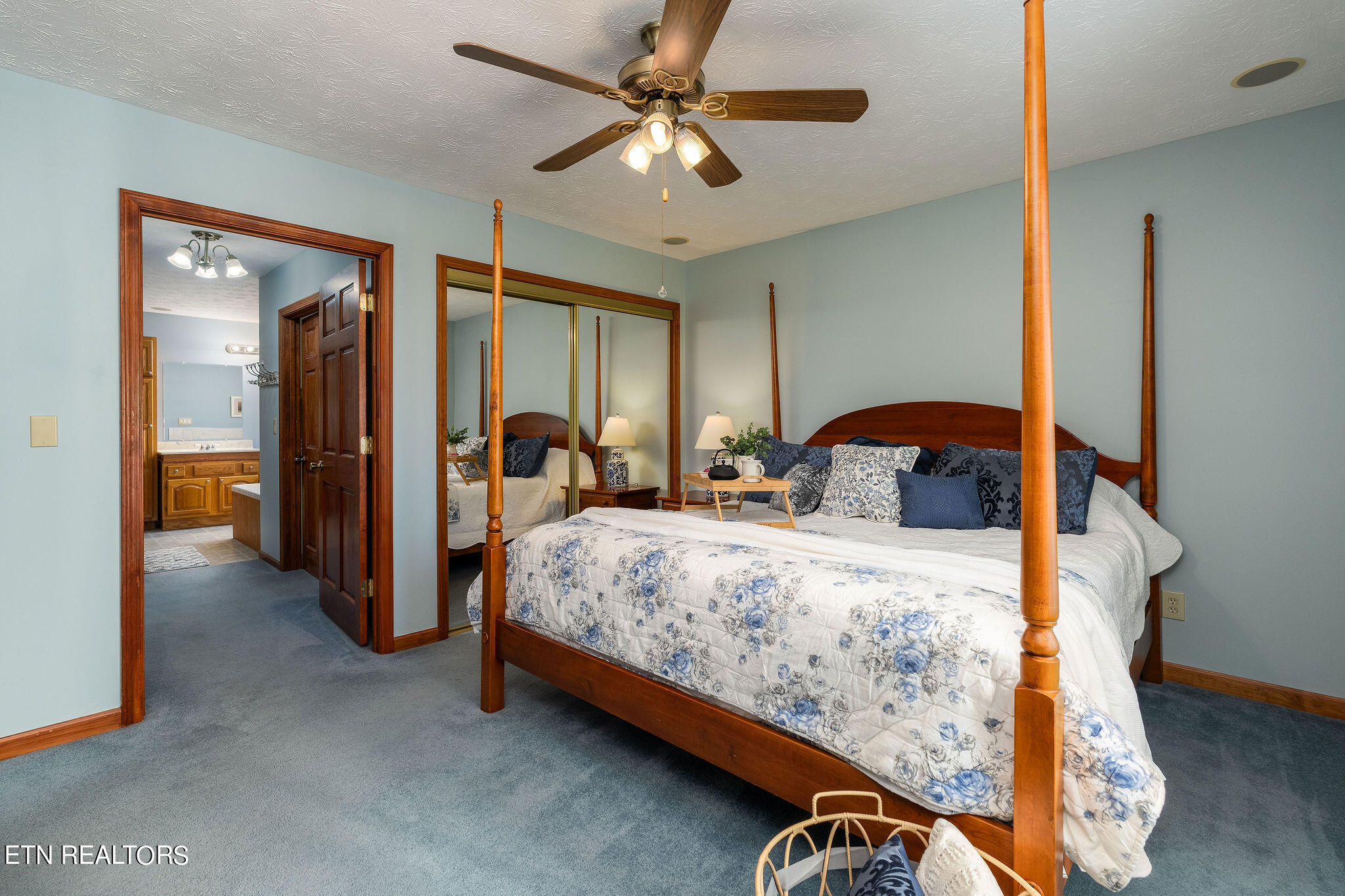 240 Moulton Greene Road Fall Branch, TN 37656 - Photo 15 of 54 DSC03253-Edit