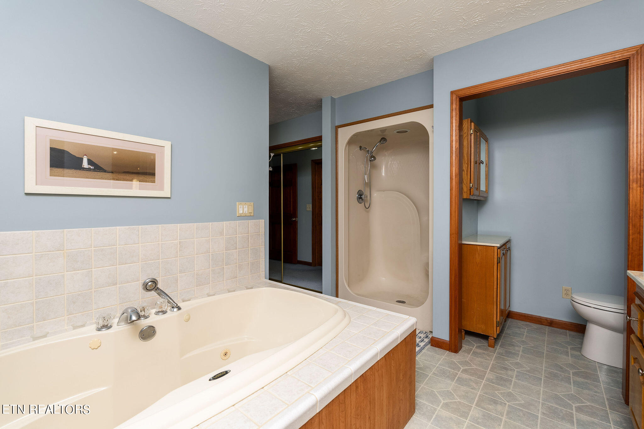 240 Moulton Greene Road Fall Branch, TN 37656 - Photo 19 of 54 DSC03287-Edit