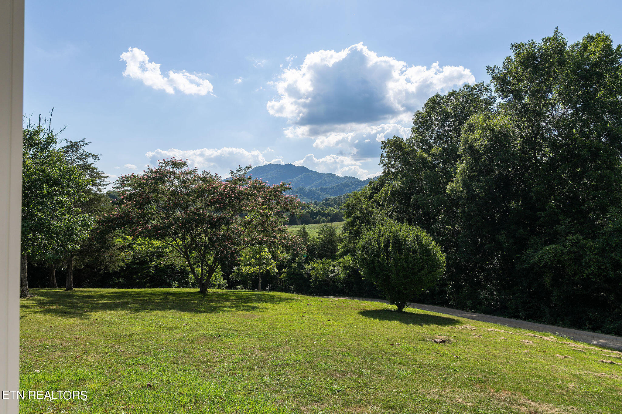 240 Moulton Greene Road Fall Branch, TN 37656 - Photo 38 of 54 DSC03489-Edit