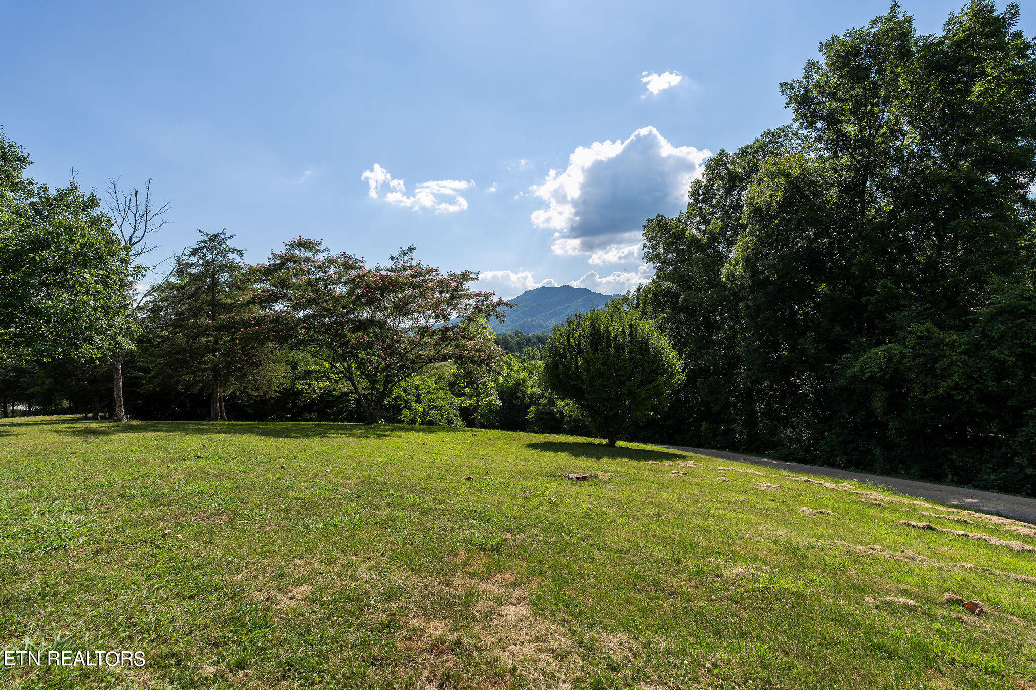 240 Moulton Greene Road Fall Branch, TN 37656 - Photo 39 of 54 DSC03495-Edit