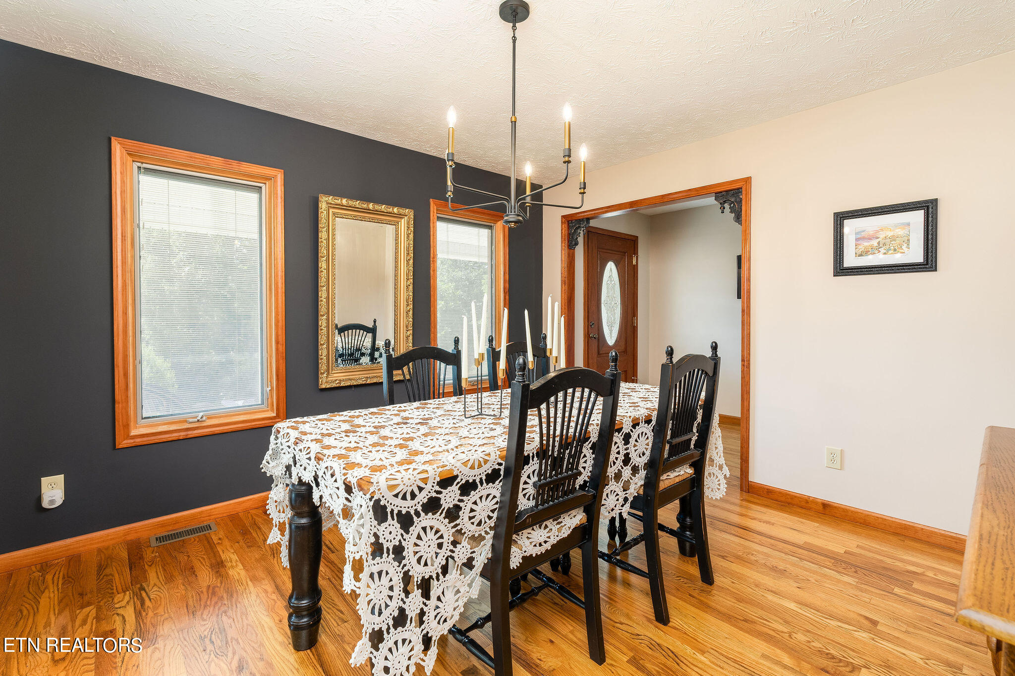 240 Moulton Greene Road Fall Branch, TN 37656 - Photo 4 of 54 DSC03105-Edit