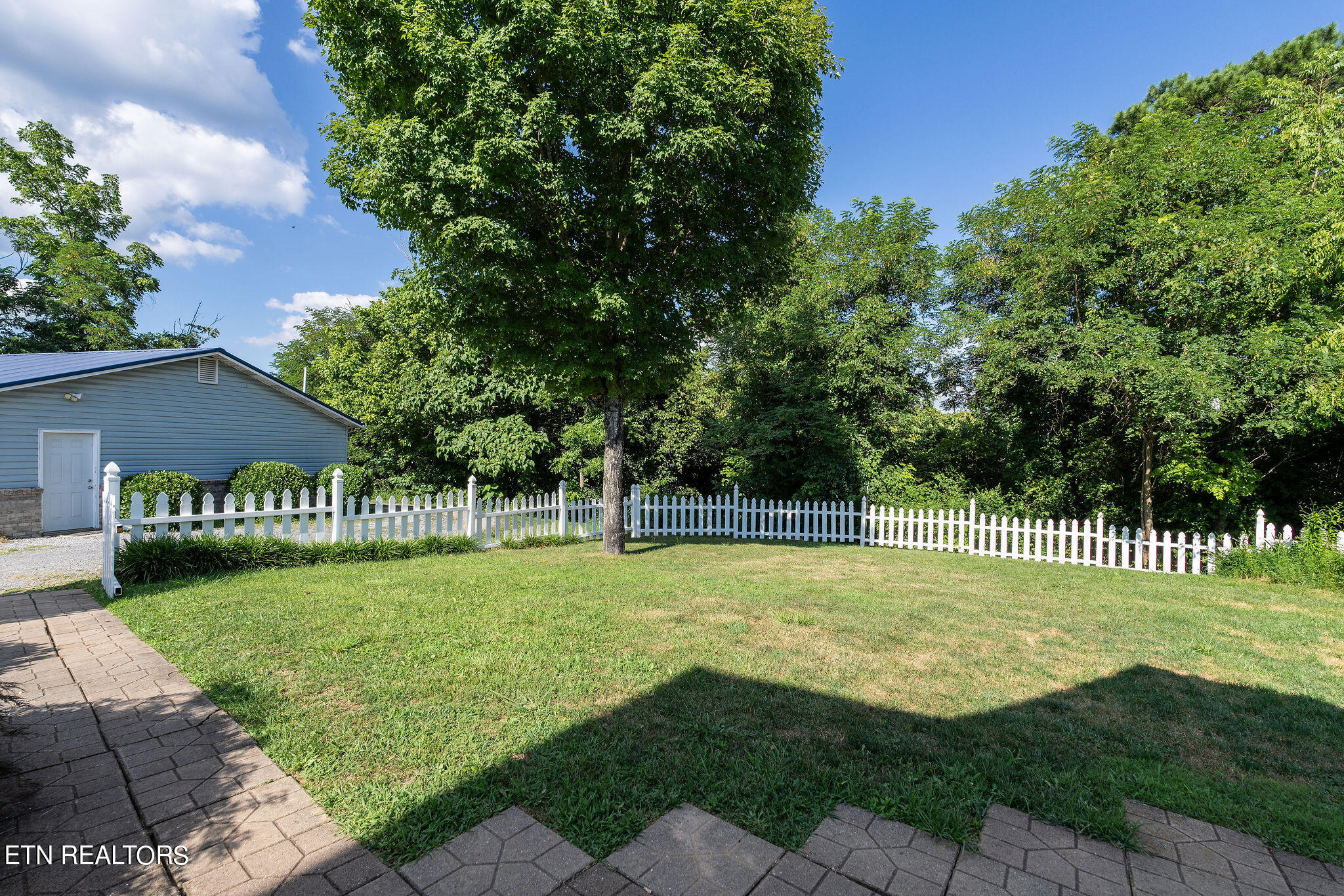 240 Moulton Greene Road Fall Branch, TN 37656 - Photo 42 of 54 DSC03537