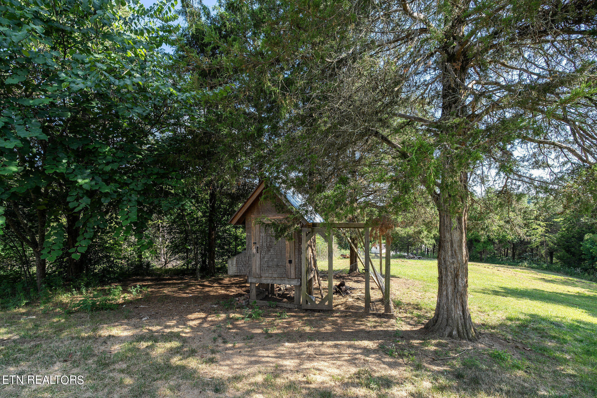 240 Moulton Greene Road Fall Branch, TN 37656 - Photo 49 of 54 DSC03567