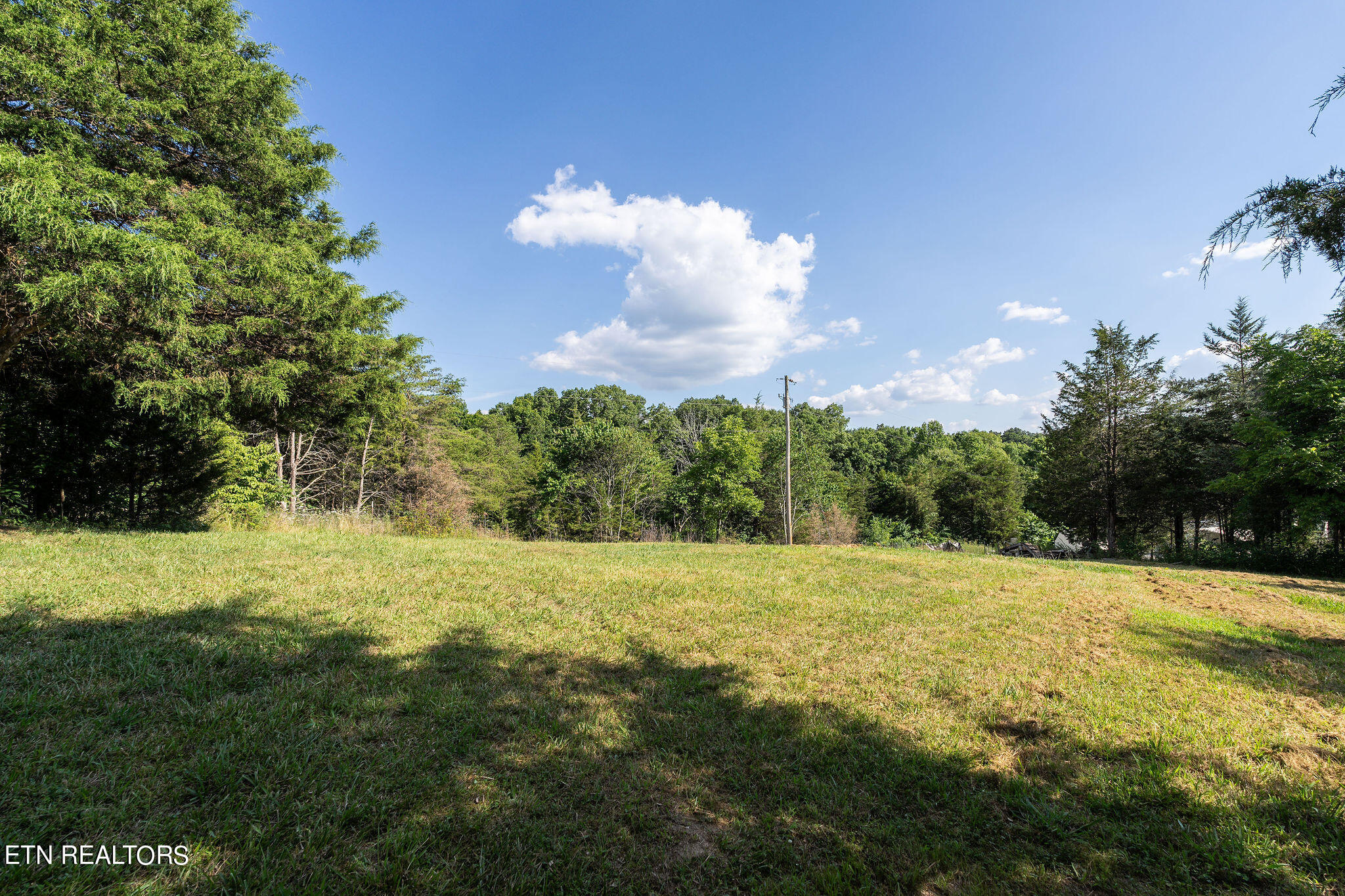 240 Moulton Greene Road Fall Branch, TN 37656 - Photo 50 of 54 DSC03579