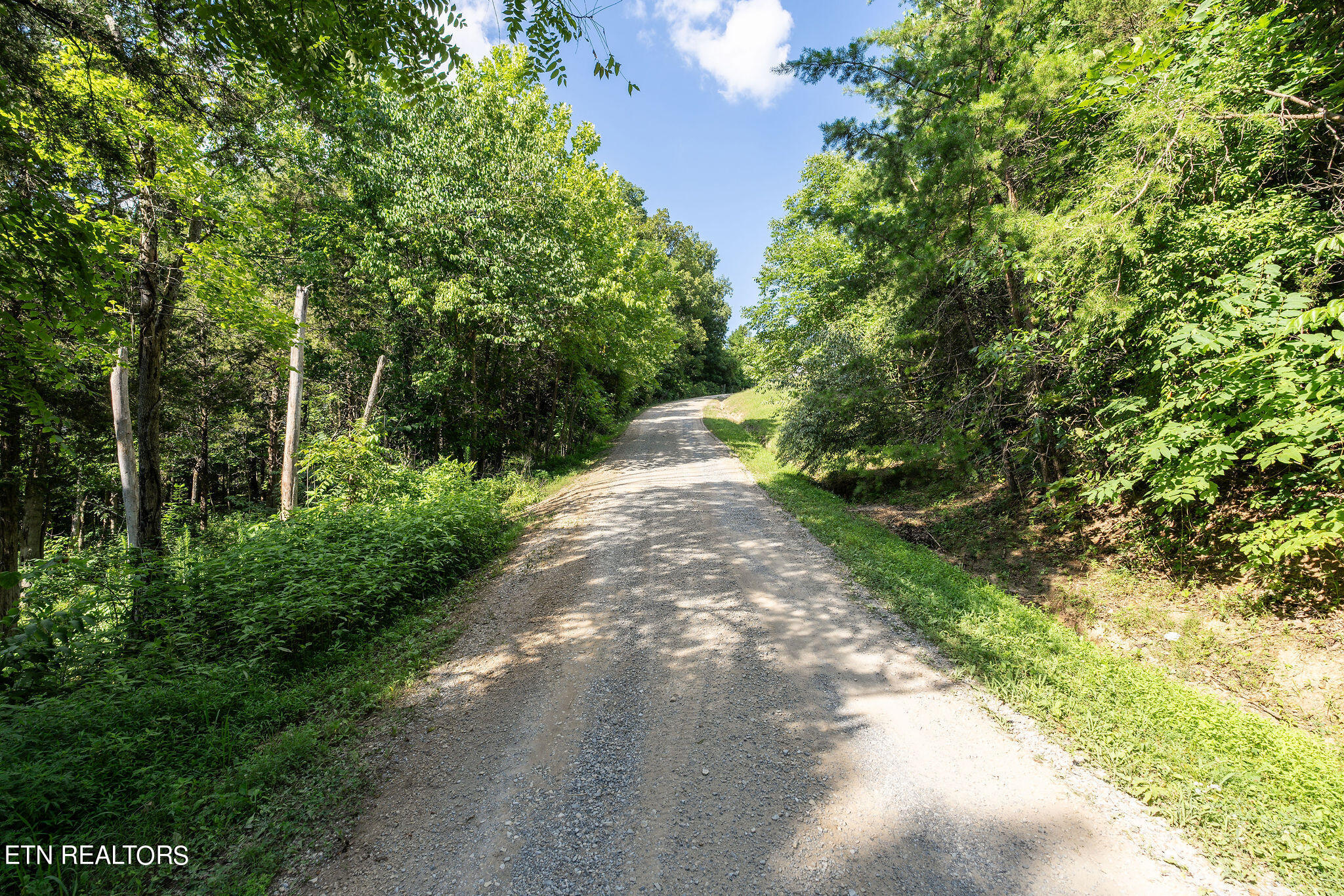 240 Moulton Greene Road Fall Branch, TN 37656 - Photo 54 of 54 DSC03499