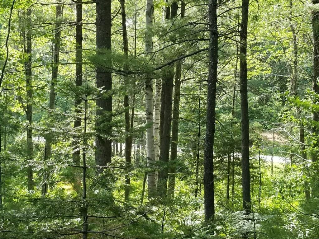 M8-l87 Chesterville Ridge Road Kents Hill, ME 04349 - Photo 14 of 14 Photo