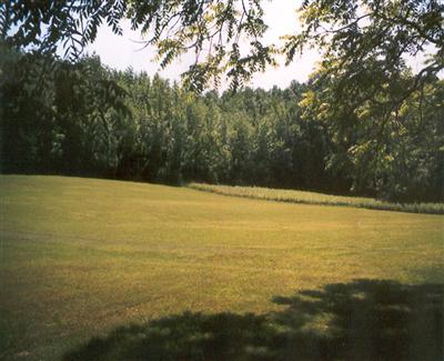 Primary Photo