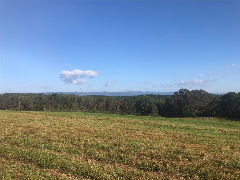 0 Courtney/oconee Creek Road Walhalla, SC 29691 - Photo 1 of 14 Gallery Image 1