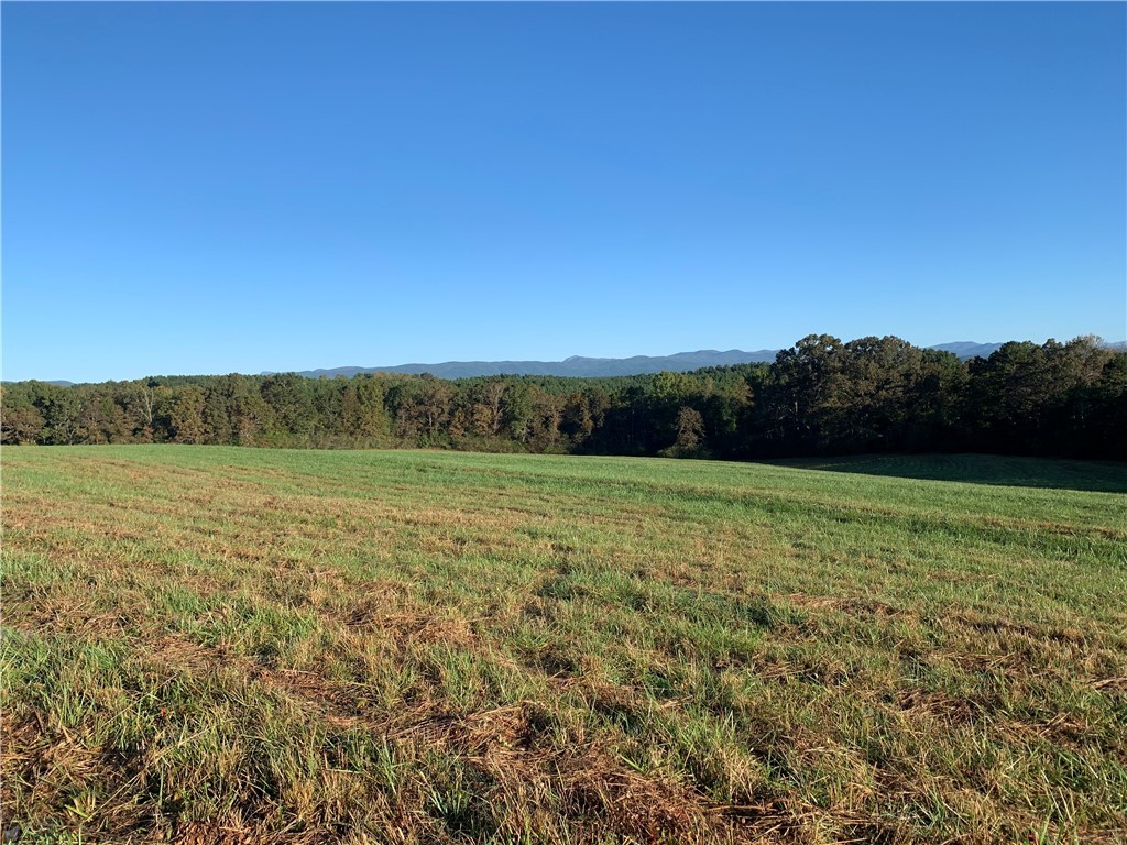0 Courtney/oconee Creek Road Walhalla, SC 29691 - Photo 11 of 14 Gallery Image 11