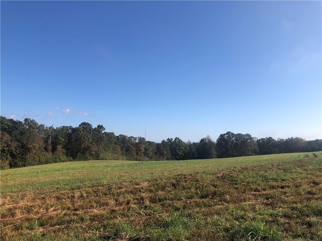 0 Courtney/oconee Creek Road Walhalla, SC 29691 - Photo 3 of 14 Gallery Image 3