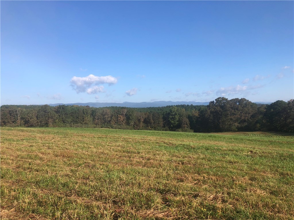 0 Courtney/oconee Creek Road Walhalla, SC 29691 - Photo 4 of 14 Gallery Image 4