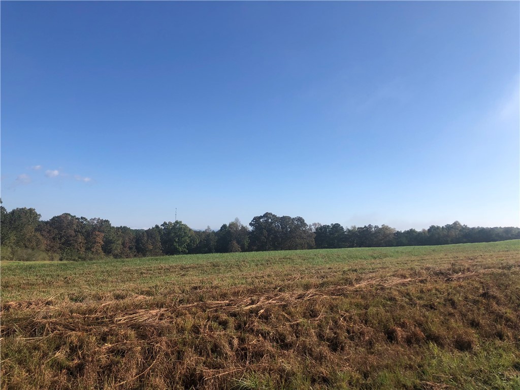 0 Courtney/oconee Creek Road Walhalla, SC 29691 - Photo 5 of 14 Gallery Image 5