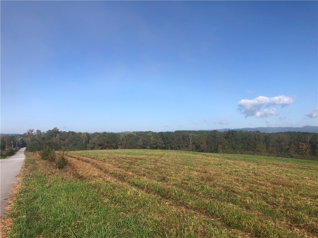 0 Courtney/oconee Creek Road Walhalla, SC 29691 - Photo 6 of 14 Gallery Image 6