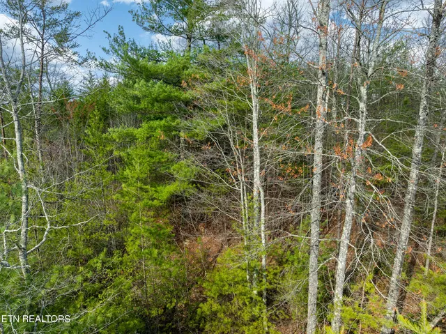 $99,900 | 227 Black Powder Court, Walland, TN 37886