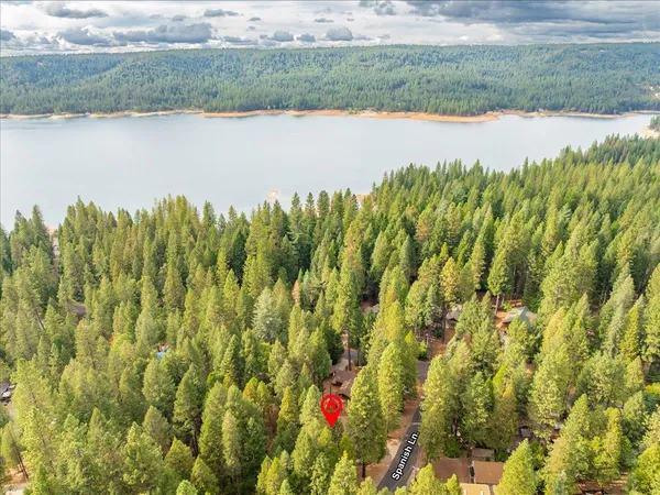a view of a lake with plants and large trees