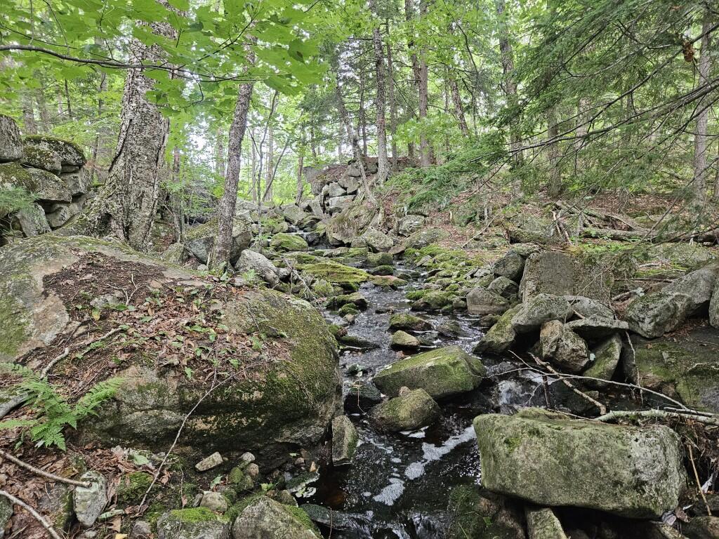 19 A Quaker Ridge Road Leeds, ME 04263 - Photo 13 of 37 20260716_134206