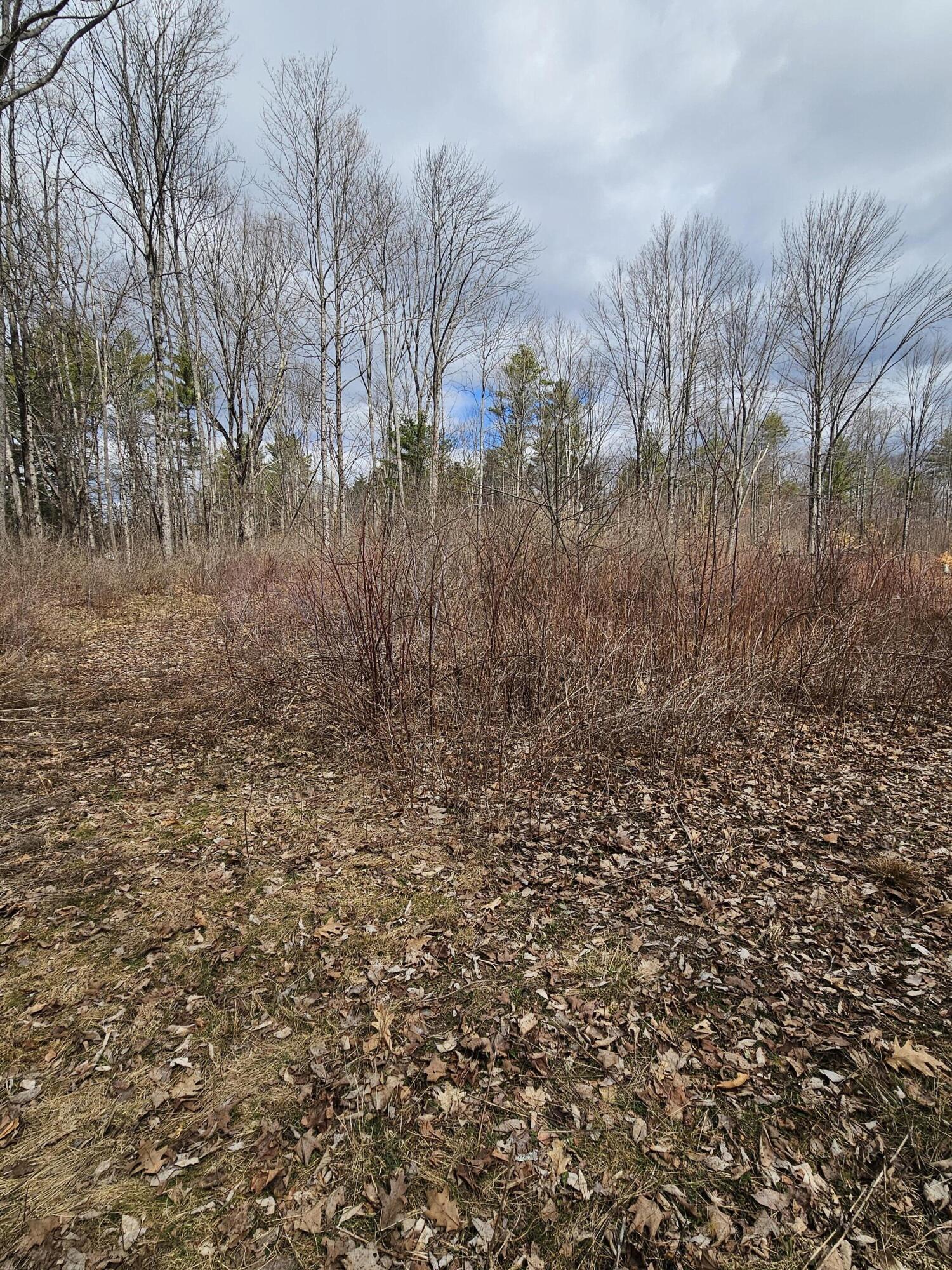 Lot 113-2 Cushman Road Winslow, ME 04901 - Photo 21 of 24 1000066960