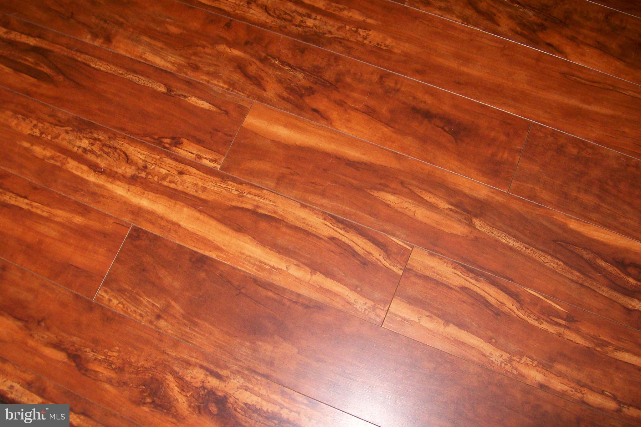 3855 Remount Road Front Royal, VA 22630 - Photo 20 of 30 Interior (General) Flooring