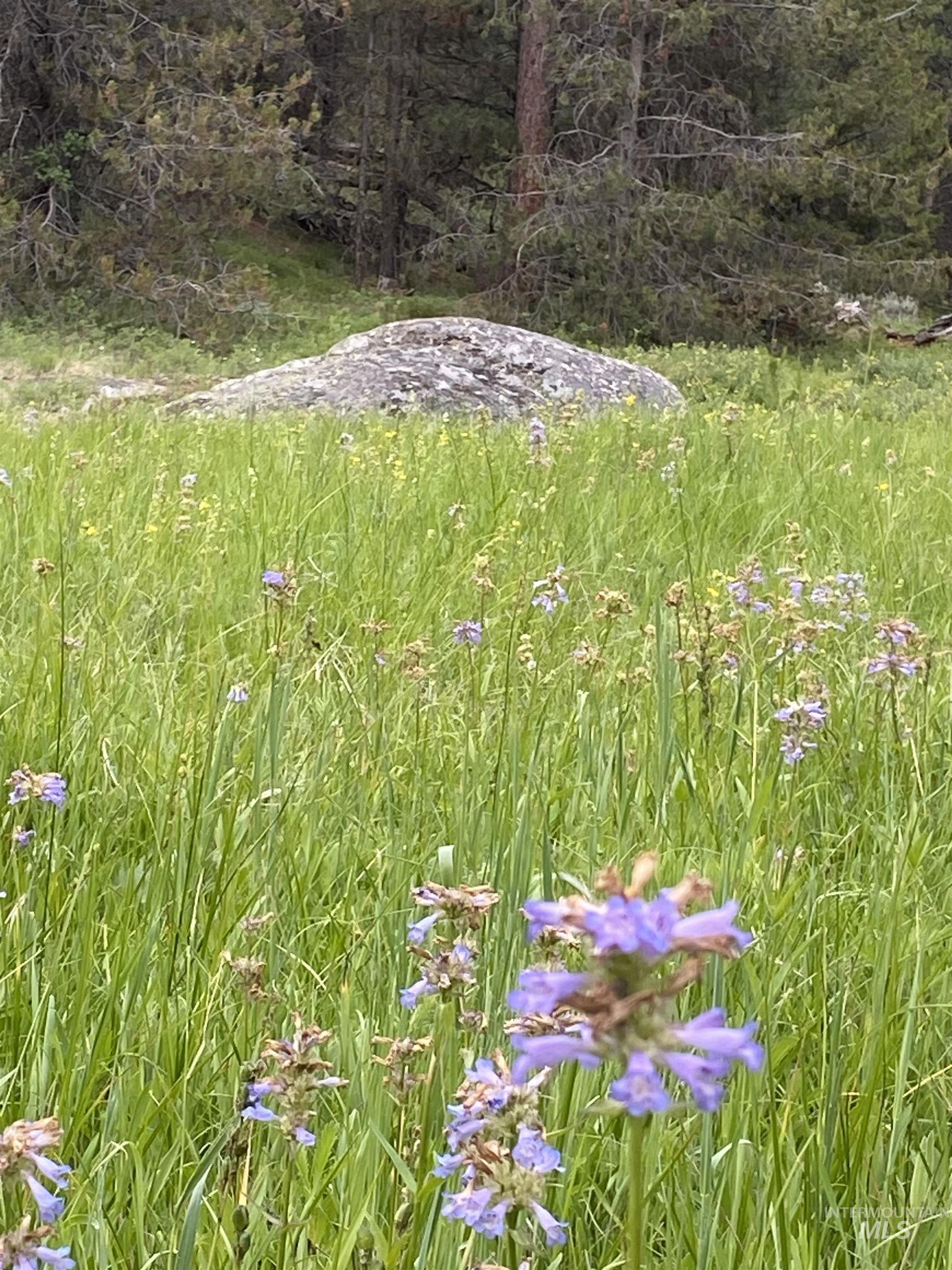 175 Pointes Road Cascade, ID 83611 - Photo 23 of 27 Gallery Image 23
