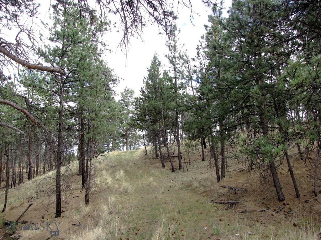 Tbd Tbd Wild Turkey Ridge Road Columbus, MT 59019 - Photo 32 of 55 Gallery Image 32