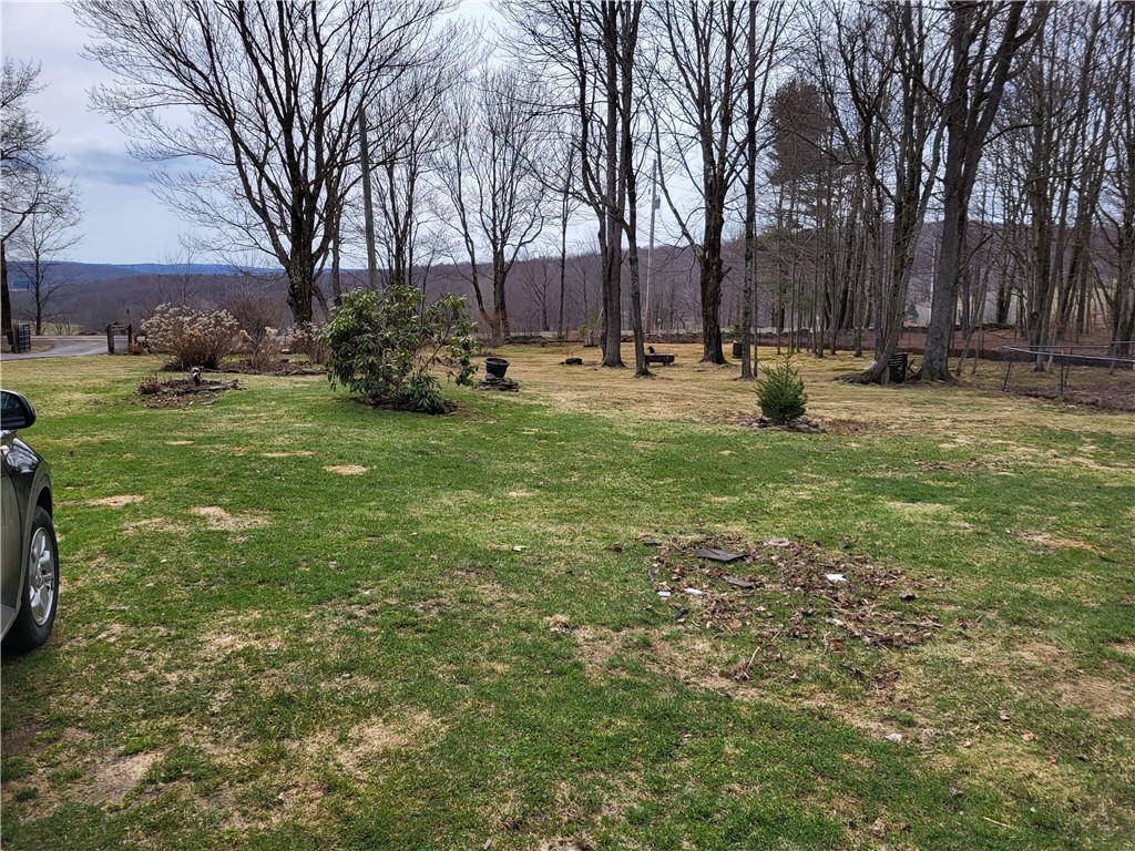 538 Ceresna Road Delhi, NY 13753 - Photo 32 of 33 front yard.2