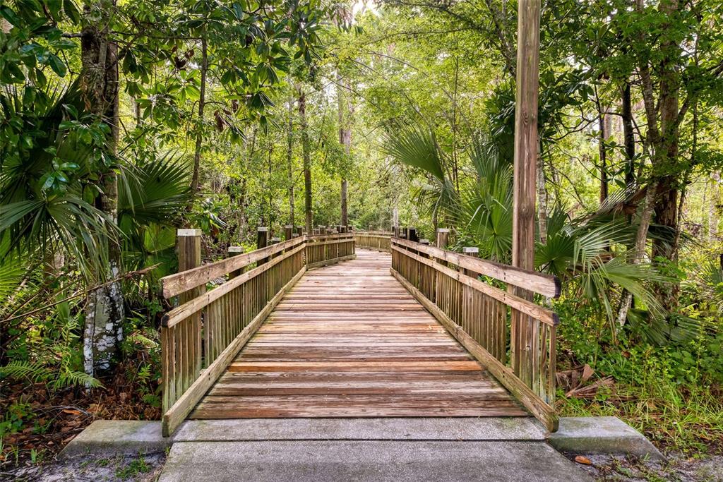 460 Water Street, Unit 460 Celebration, FL 34747 - Photo 38 of 38 a view of balcony and yard