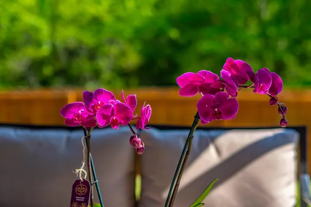 $468,300 | 1060 Solomon Lane, Spring Hill, TN 37174