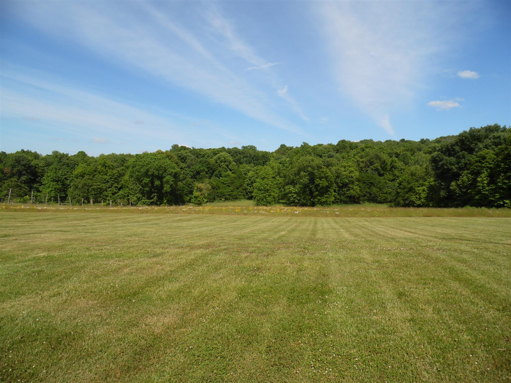 1847 Preacher Holt Road Mount Pleasant, TN 38474 - Photo 18 of 24 Gallery Image 18