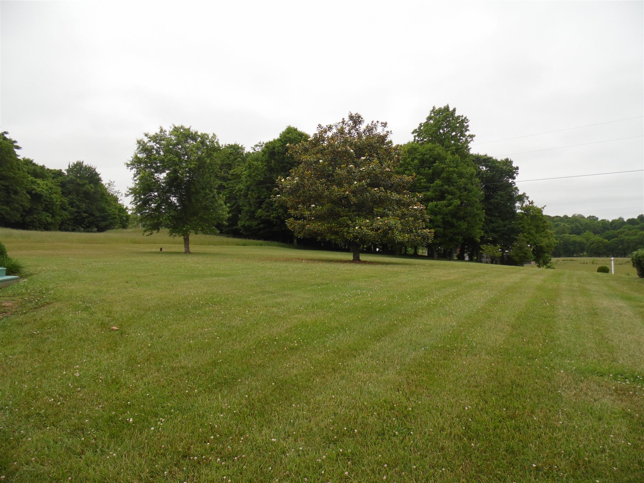 1847 Preacher Holt Road Mount Pleasant, TN 38474 - Photo 19 of 24 Gallery Image 19