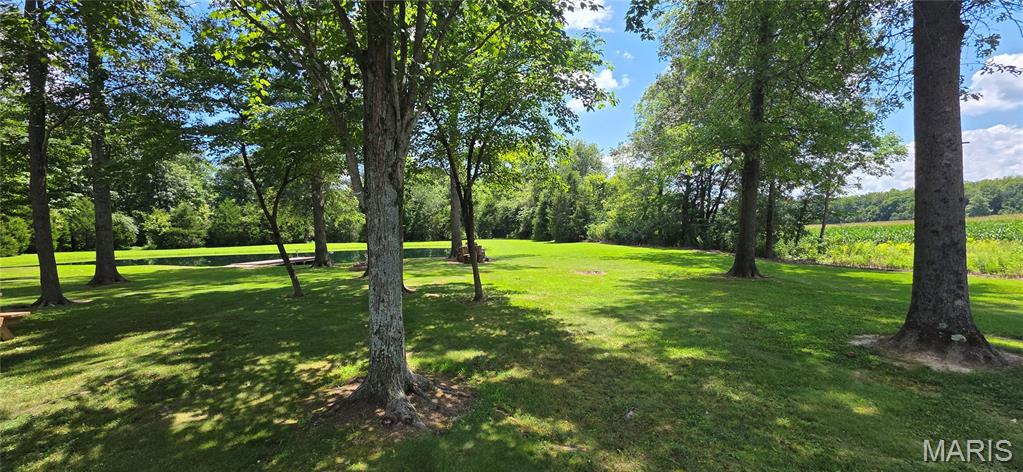 18371 Perry Road Pittsburg, IL 62974 - Photo 8 of 61
