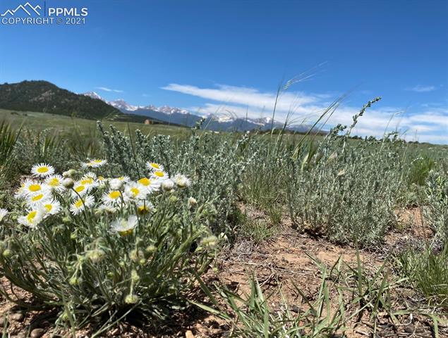 Tbd Tbd Roundup Road Westcliffe, CO 81252 - Photo 3 of 15 Gallery Image 3