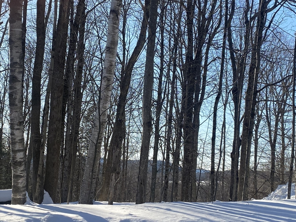 Lot 15 Colebrook River Road Tolland, MA 01034 - Photo 1 of 6