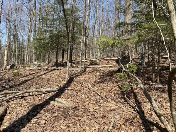 $79,900 | Lot 15 Colebrook River Road, Tolland, MA 01034