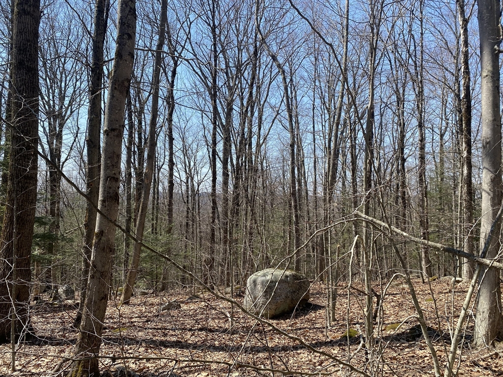 Lot 15 Colebrook River Road Tolland, MA 01034 - Photo 11 of 11 a view of a backyard