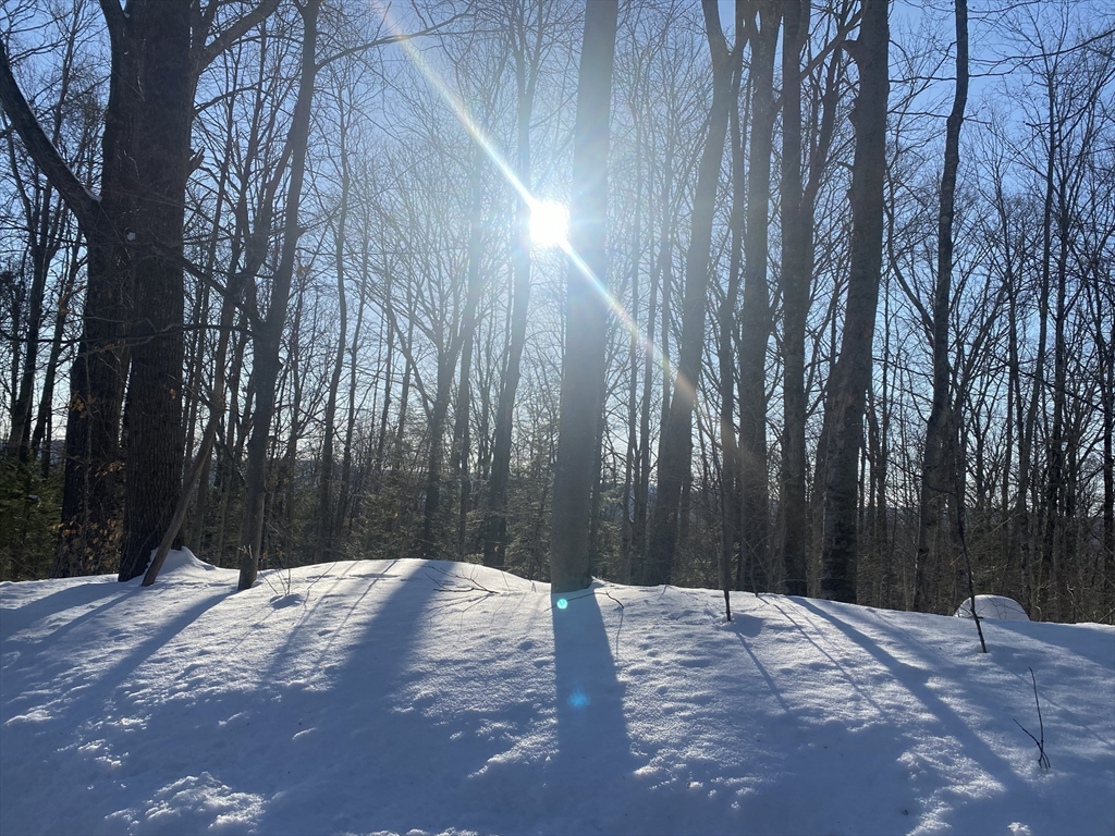 Lot 15 Colebrook River Road Tolland, MA 01034 - Photo 2 of 6