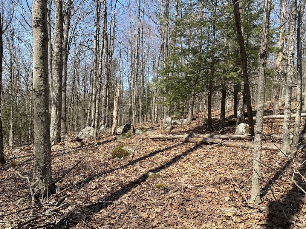 Lot 15 Colebrook River Road Tolland, MA 01034 - Photo 2 of 11 a view of a backyard with trees