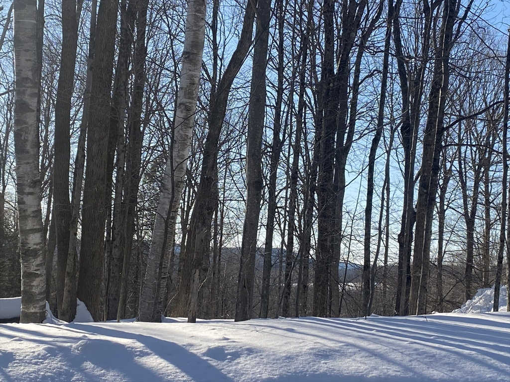 Lot 15 Colebrook River Road Tolland, MA 01034 - Photo 5 of 6