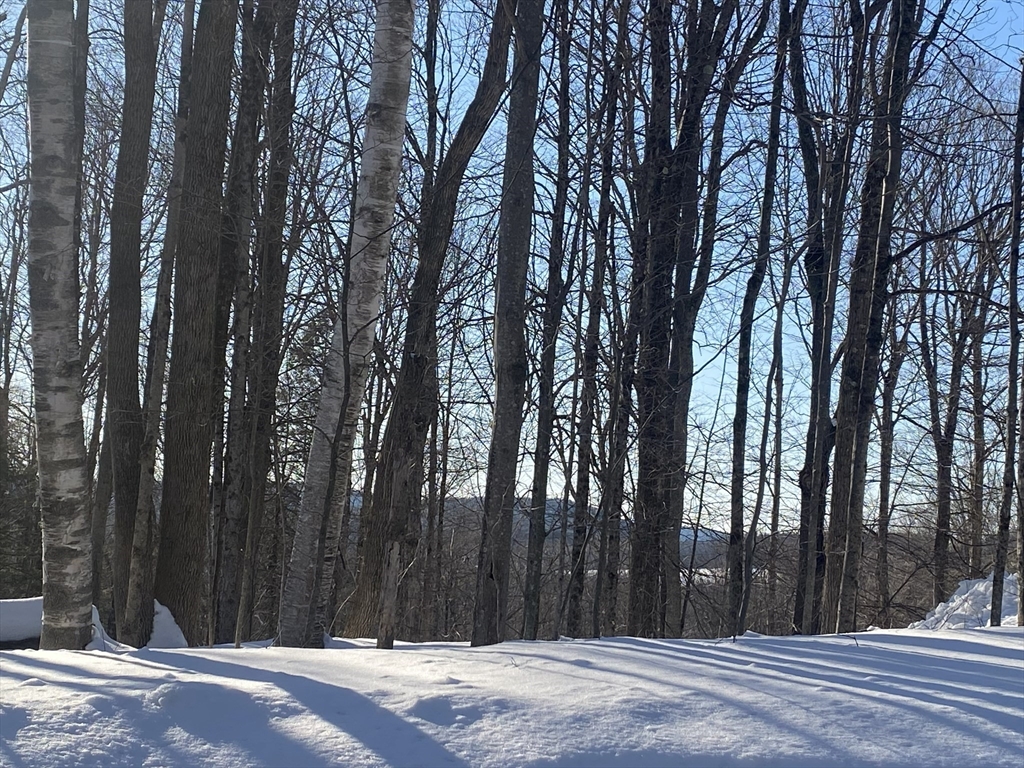 Lot 15 Colebrook River Road Tolland, MA 01034 - Photo 9 of 11 a view of a backyard