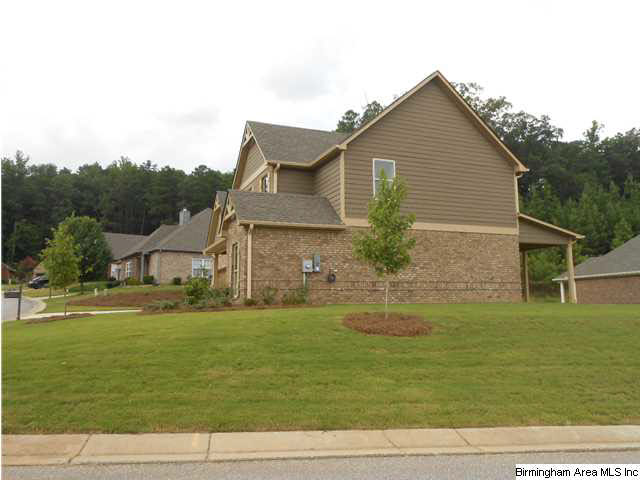 200 Chesser Way Chelsea, AL 35043 - Photo 3 of 8