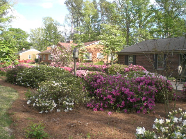 3709 Hawthorne Road Rocky Mount, NC 27804 - Photo 14 of 14 Additional Photo