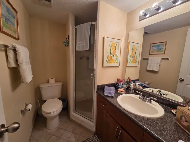 a bathroom with a granite countertop toilet sink and mirror
