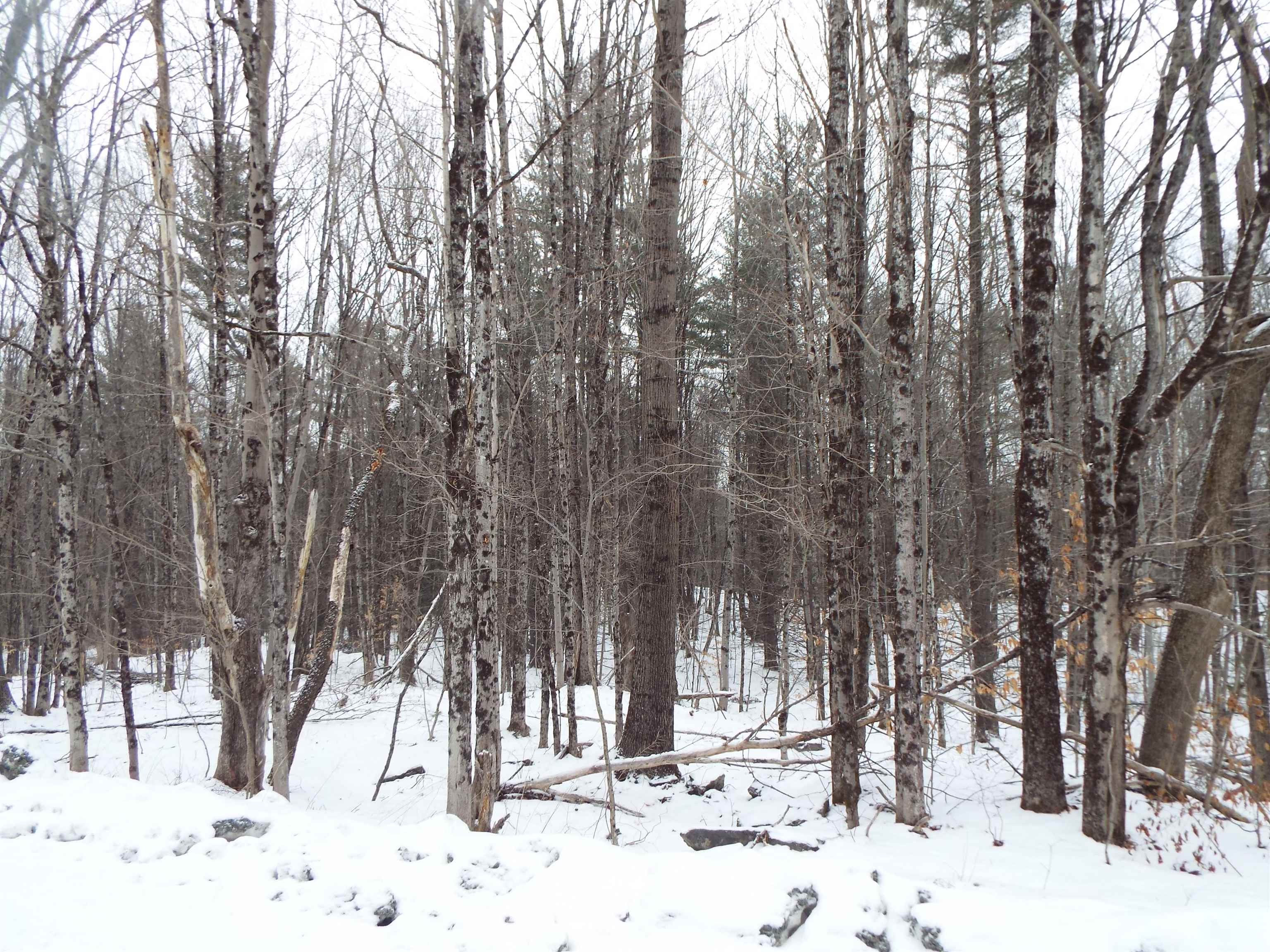 0 Hendee Way Quechee, VT 05059 - Photo 6 of 12