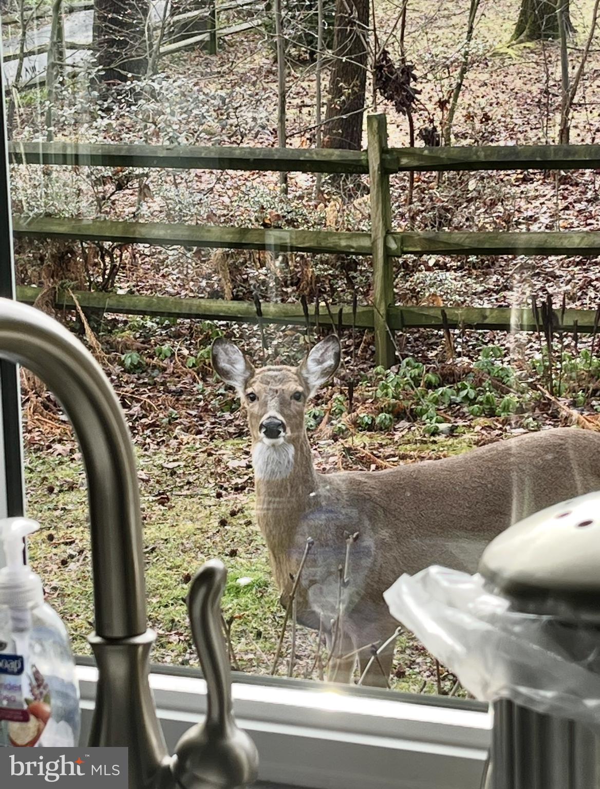 339 Plush Mill Road Wallingford, PA 19086 - Photo 23 of 34